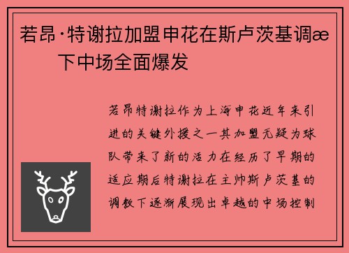 若昂·特谢拉加盟申花在斯卢茨基调教下中场全面爆发