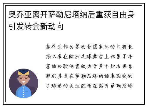 奥乔亚离开萨勒尼塔纳后重获自由身引发转会新动向 奥乔亚离开萨勒尼塔纳后重获自由身引发转会新动向